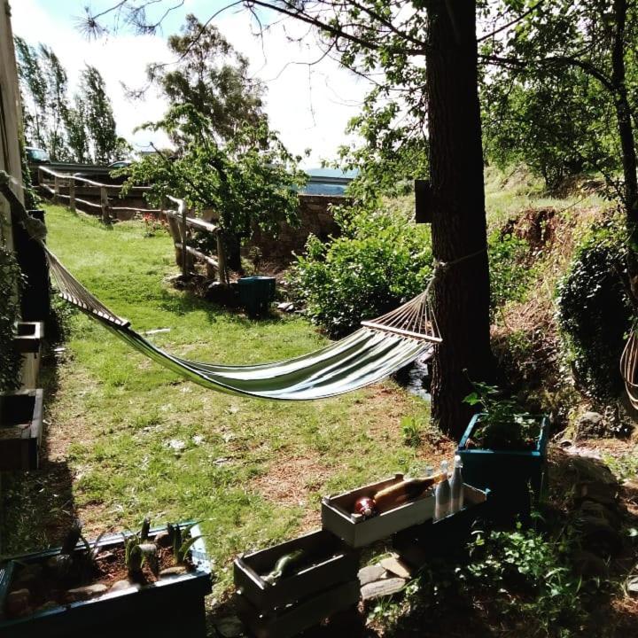 Casa Rural El Arroyo Sotoserrano Екстер'єр фото
