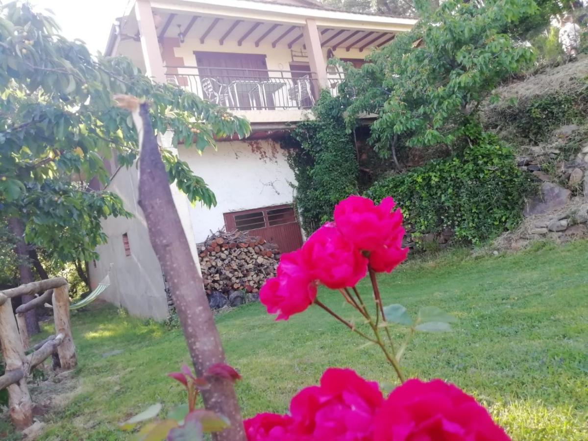 Casa Rural El Arroyo Sotoserrano Екстер'єр фото